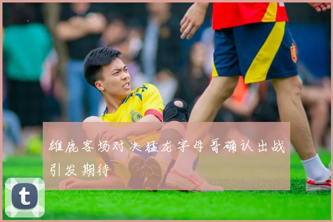 雄鹿客场对决猛龙字母哥确认出战引发期待
