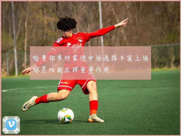 哈曼称多特蒙德中场选择丰富上场球员均能发挥重要作用