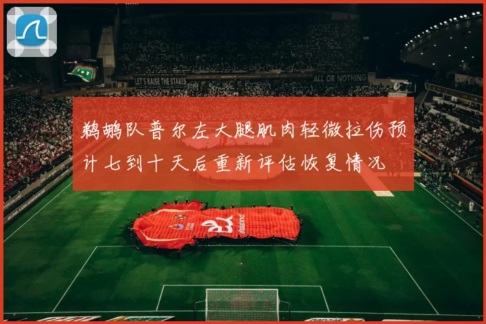 鹈鹕队普尔左大腿肌肉轻微拉伤预计七到十天后重新评估恢复情况